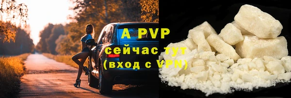 молекула духа Лихославль