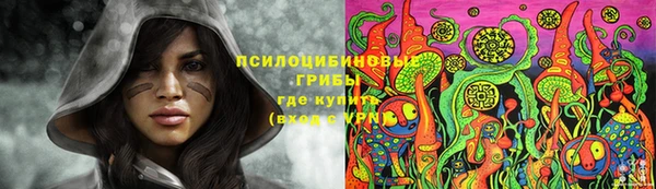 дживик Алзамай