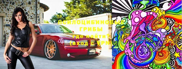 стаф Магас
