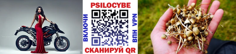 Псилоцибиновые грибы мицелий Северская